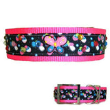 Sparkling Butterflies Large Nylon Dog Collar - For medium to large dogs - dog-collar-fancy