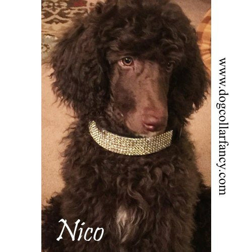 Princess Diamonds 2 Inch Wide Crystal Dog Collar – Dog Collar Fancy